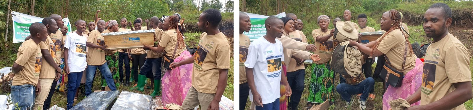 Sud-Kivu : Apiculture communautaire : Un levier pour la protection de l’environnement et le développement local autour…
