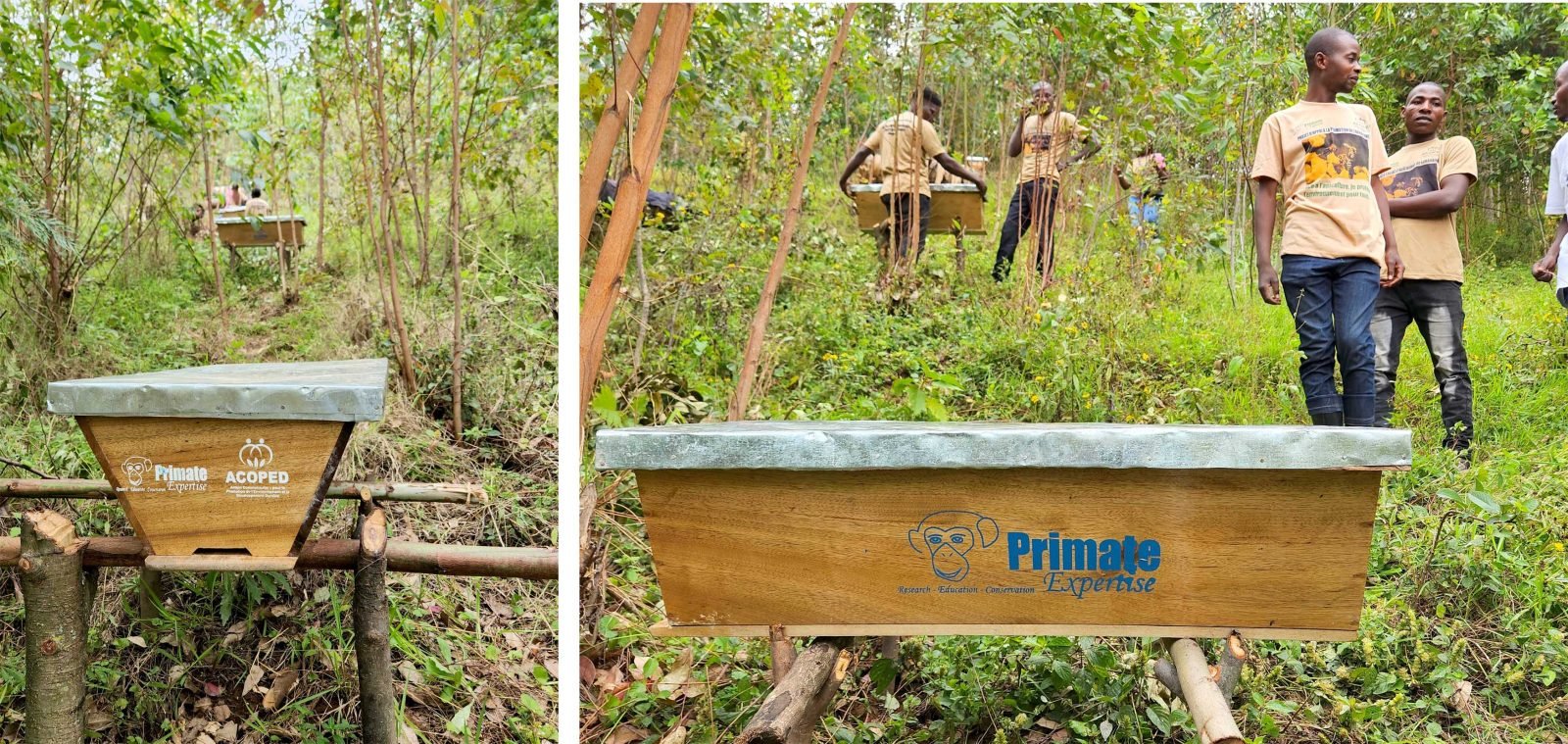 Sud-Kivu : Apiculture communautaire : Un levier pour la protection de l’environnement et le développement local autour…