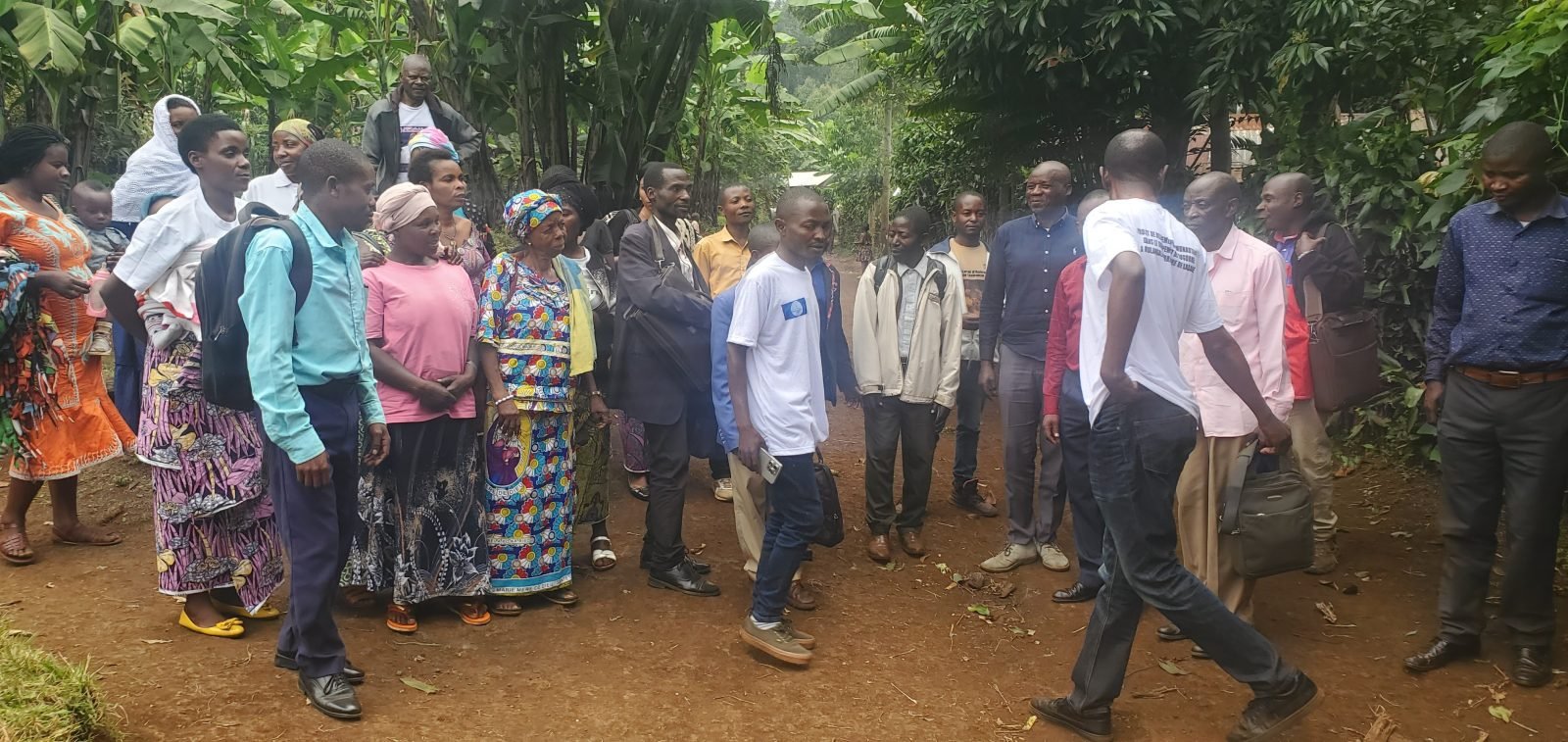 Projet d’appui au relèvement communautaire dans la chefferie de Kabare, groupements de Bugorhe et Miti riverain du PNKB