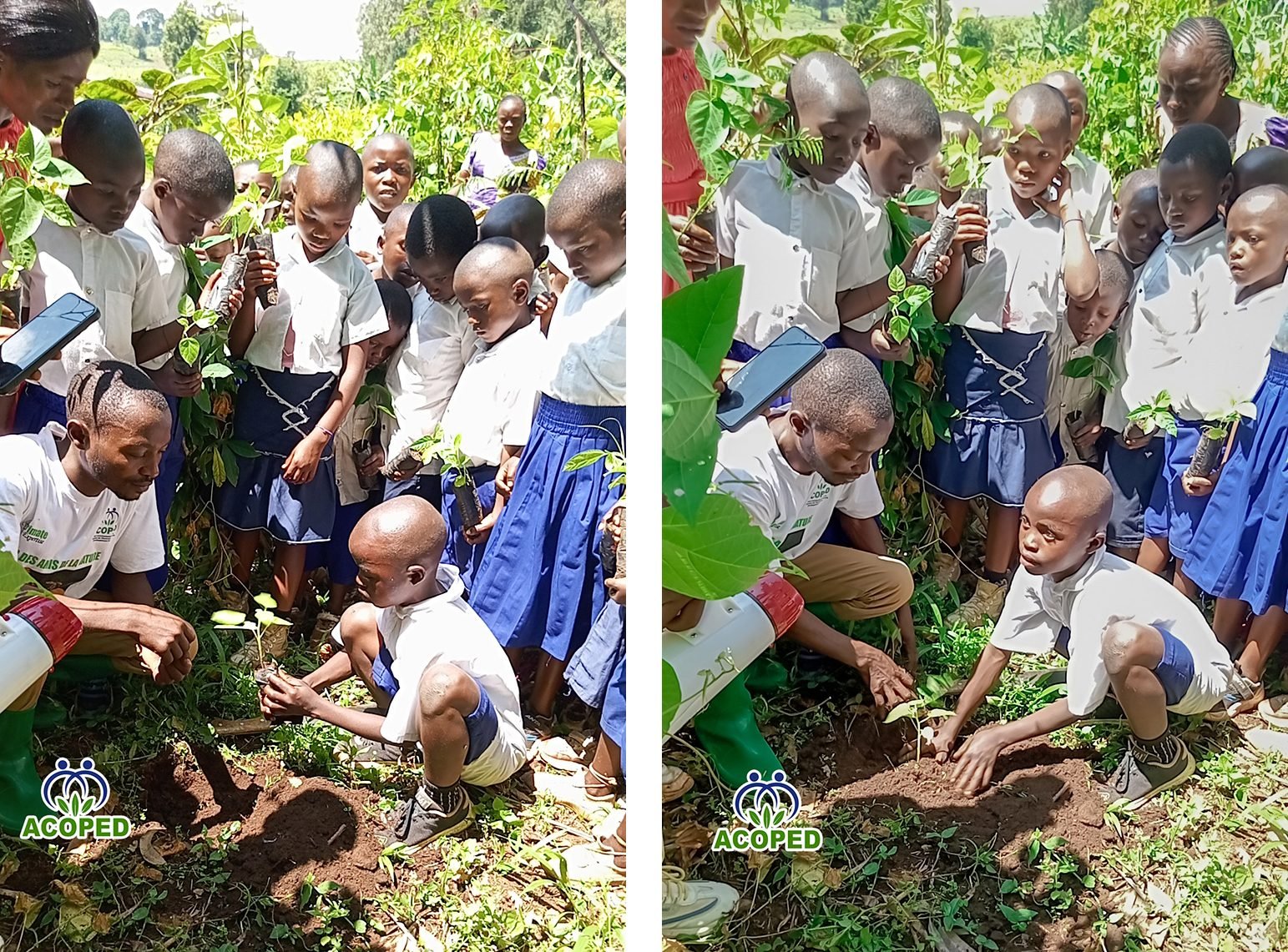 Promotion de l’apiculture : ACOPED Asbl mobilise les écoles de Cibinda et d’Ikambi pour la protection de…