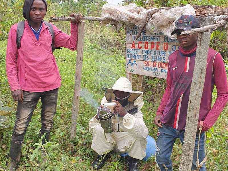 ACOPED dans l'apiculture avec la population autours du parc national de Kahuzi biega