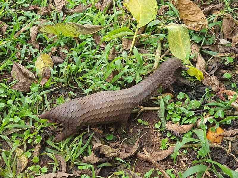 Domaine de Recherche