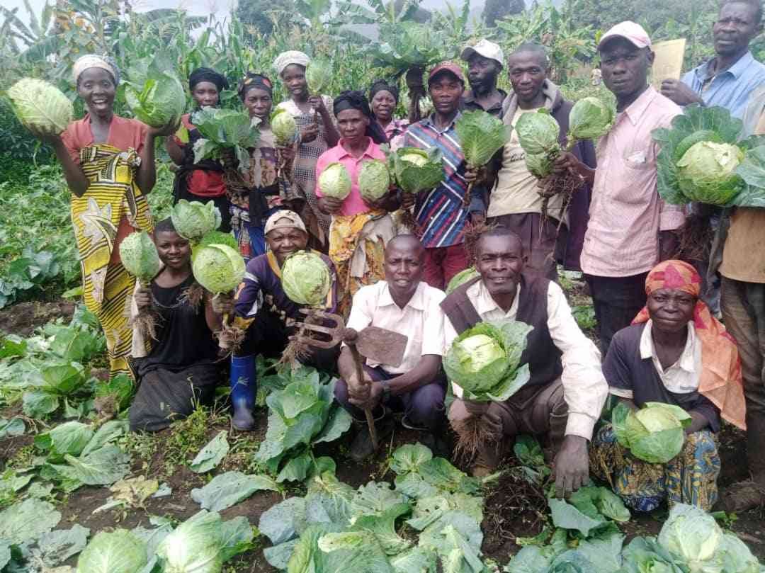 Agriculture durable, sécurité alimentaire et nutrition 