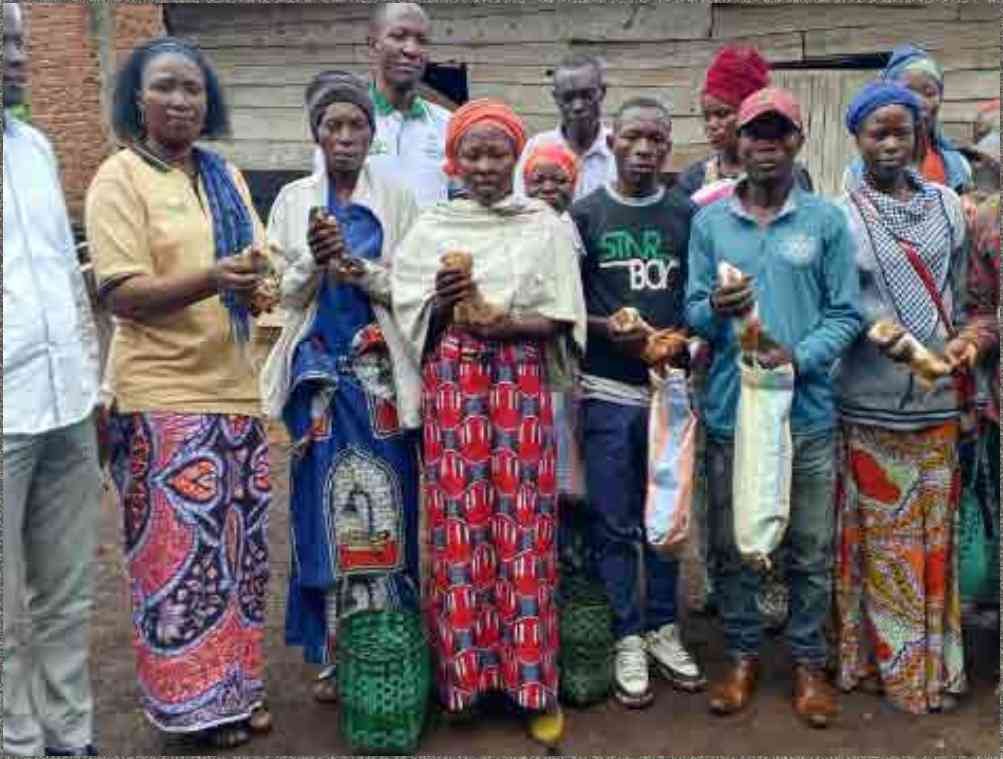 Lapins et cobayes à Mulangala : un petit élevage pour un grand impact