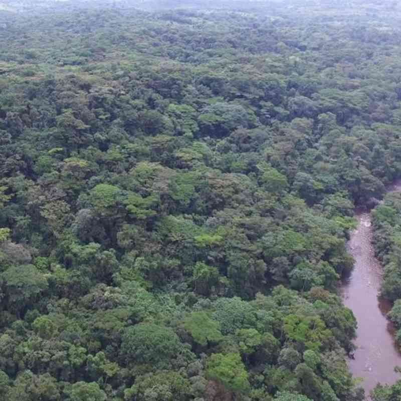 Environnement et climat